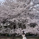 青岛旅游 缩略图 1