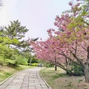 青岛旅游 缩略图 14