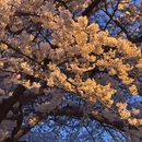 青岛旅游 缩略图 5