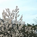 北京旅游 缩略图 14