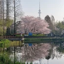 青岛旅游 缩略图 3