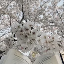 青岛旅游 缩略图 4