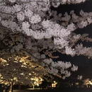 青岛旅游 缩略图 2