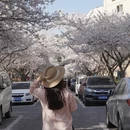 青岛旅游 缩略图 6