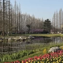 青岛旅游 缩略图 9