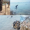 青岛旅游 缩略图 1