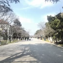 青岛旅游 缩略图 5