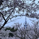青岛旅游 缩略图 1