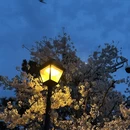 青岛旅游 缩略图 5