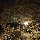 青岛旅游 缩略图 6