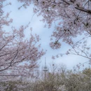 北京旅游 缩略图 4
