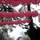 青岛旅游 缩略图 2