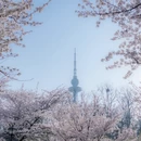 北京旅游 缩略图 1