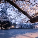 北京旅游 缩略图 7