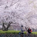 北京旅游 缩略图 3