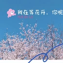 青岛旅游 缩略图 1