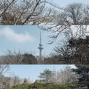 青岛旅游 缩略图 2