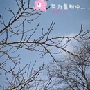 青岛旅游 缩略图 3
