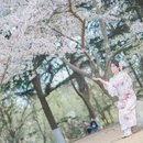 青岛旅游 缩略图 5