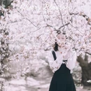 青岛旅游 缩略图 8