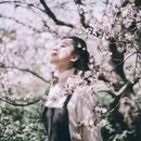 青岛旅游 缩略图 5