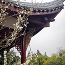 成都旅游 缩略图 9