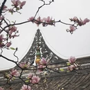 成都旅游 缩略图 14