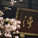 成都旅游 缩略图 11