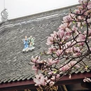 成都旅游 缩略图 18