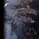 成都旅游 缩略图 1