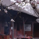 成都旅游 缩略图 2