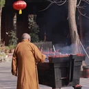 成都旅游 缩略图 5