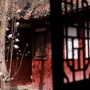 成都旅游 缩略图 18