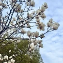 成都旅游 缩略图 5
