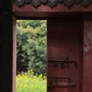 成都旅游 缩略图 17