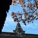 成都旅游 缩略图 2
