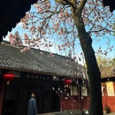 成都旅游 缩略图 3