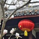 成都旅游 缩略图 5