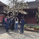 成都旅游 缩略图 9