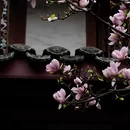 成都旅游 缩略图 7