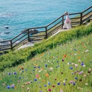 青岛旅游 缩略图 2