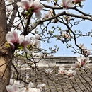 成都旅游 缩略图 2