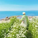 青岛旅游 缩略图 10
