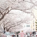 青岛旅游 缩略图 18