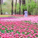 青岛旅游 缩略图 13