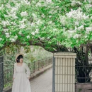 青岛旅游 缩略图 15