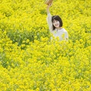 青岛旅游 缩略图 4