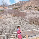 青岛旅游 缩略图 5