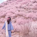 青岛旅游 缩略图 7