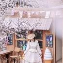 青岛旅游 缩略图 10